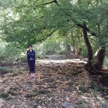 Les Blés Dorés à 7 Km De Derval. *