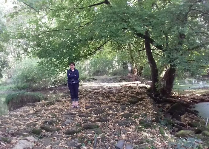 Les Blés Dorés à 7 Km De Derval. *